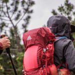 Deux randonneurs portent un sac à dos rouge et un bâton dans une forêt